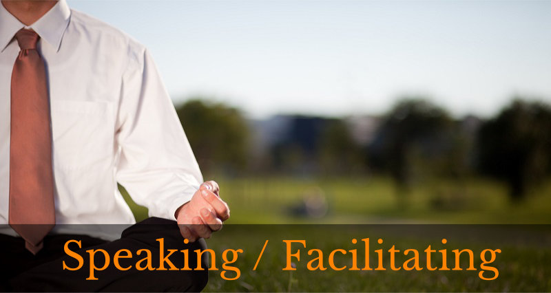 Speaking / Facilitating